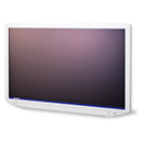 4K UHD LCD Monitor OEV321UH